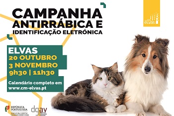 Campanha de vacinação antirábica arranca a 20 de outubro