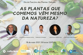 Debate online sobre as plantas que comemos