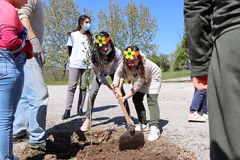 A InnovPlantProtect e alunos de Elvas plantam amendoeiras