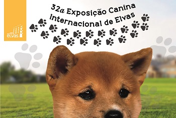 CNT acolhe 32ª Exposição Canina Internacional